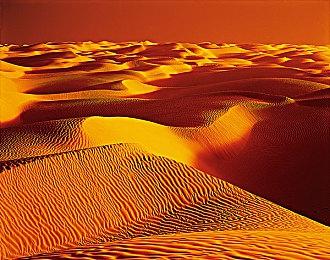 《人中之龙维新！极》四种战斗系统 2月22日正式发售