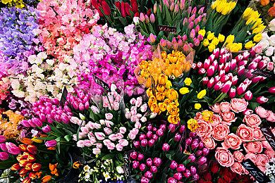 《刺客信条：幻景》PS5版玩家一个月内流失68%